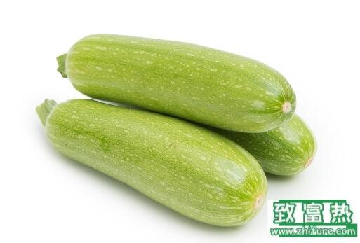 2017种西葫芦赚钱吗?2017种西葫芦前景及市场价格行情分析