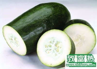 2017种冬瓜赚钱吗?2017种冬瓜前景及市场价格行情分析