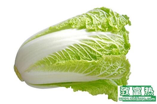 2017种白菜赚钱吗?2017种白菜前景及市场价格行情分析