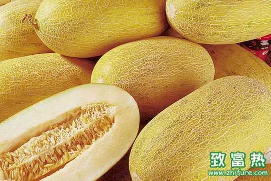 哈密瓜属于热性还是凉性水果?哈密瓜能不能放冰箱储存?
