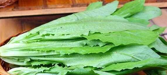 油麦菜和莴笋叶是一样的吗？哪个更好吃？