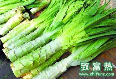 油麦菜和莴笋叶是一样的吗?哪个更好吃?