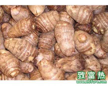 摸了芋头手痒怎么办?芋头怎么快速去皮?