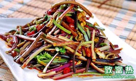 蕨菜致癌是真的吗?孕妇可以吃蕨菜吗?