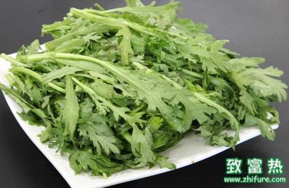茼蒿怎么做菜最好吃?多吃茼蒿有什么好处?