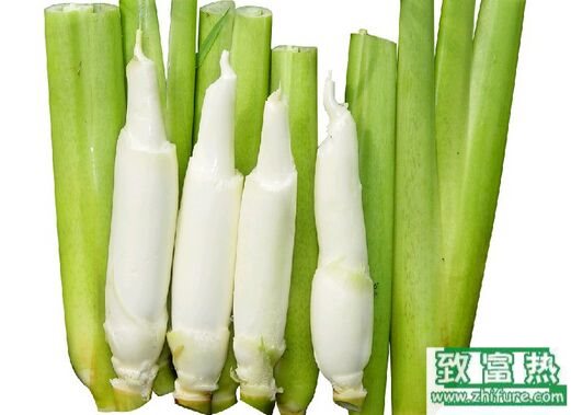 茭白就是高笋,茭白炒菜怎么做最好吃?
