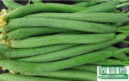 丝瓜会不会回奶?丝瓜炒蛋的做法?