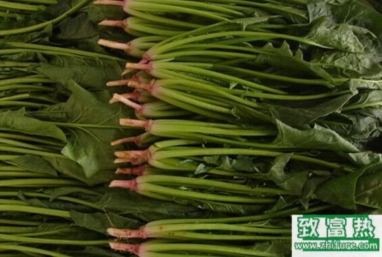 菠菜多吃会不会力气变大?小孩多吃菠菜好吗