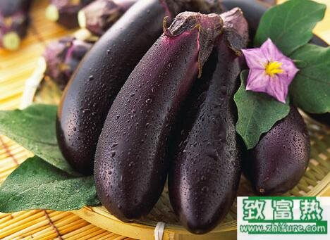 2017种茄子赚钱吗?2017种茄子前景及市场价格行情分析