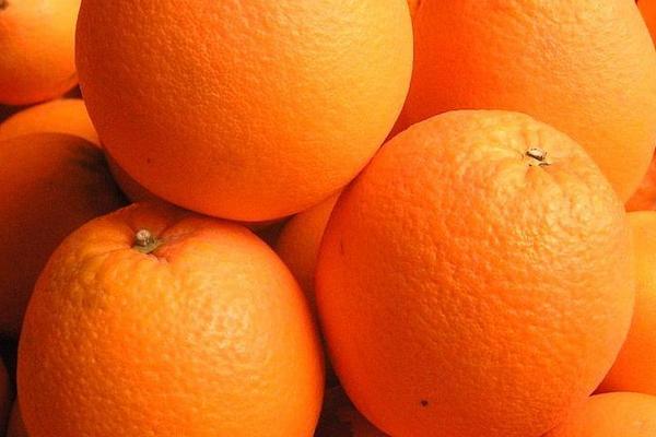 澳洲脐橙价格多少钱一斤