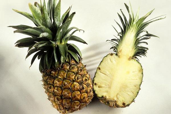 菠萝咕噜肉能不能用凤梨代替