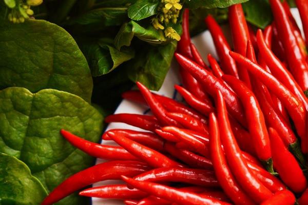 孕妇可以喝菠萝啤吗