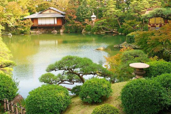 庭院种枇杷树的风水