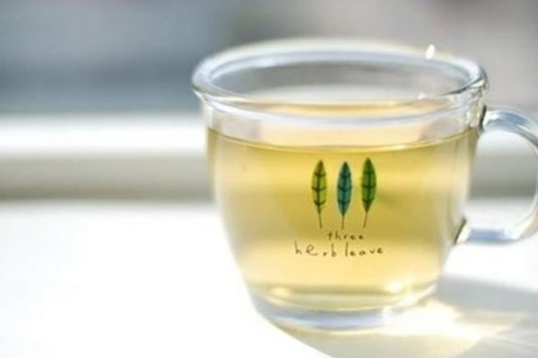 菠萝蜜树图片大全