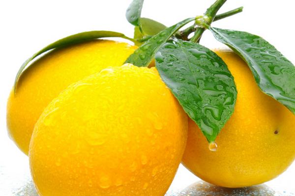 生姜柠檬蜂蜜水的功效与作用及禁忌