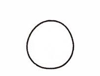 菠萝简笔画步骤（图解）