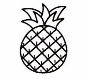 菠萝简笔画步骤（图解）