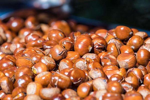 板栗的功效与作用及禁忌