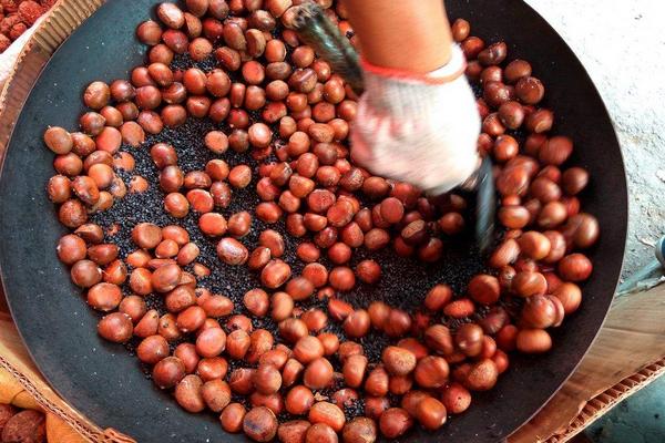 板栗的功效与作用及禁忌