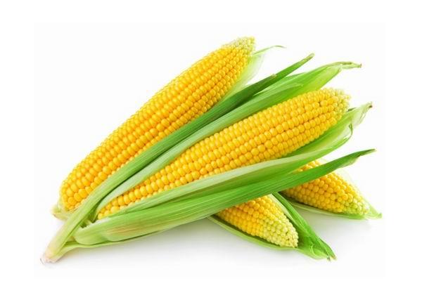 菠萝玉米品种及介绍