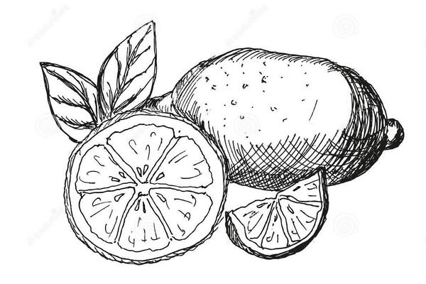 柠檬简笔画步骤（图解）