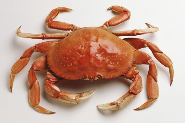 板栗和螃蟹能一起吃吗