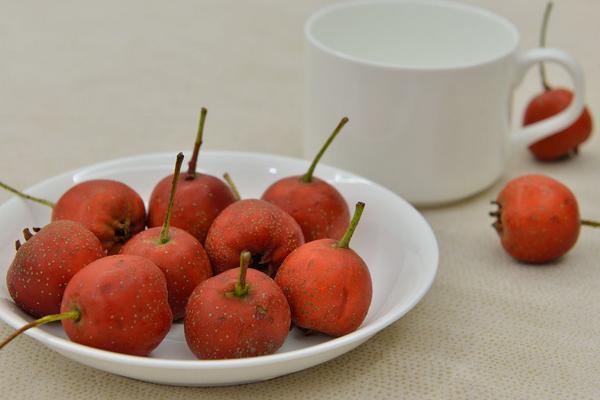 大果山楂苗价格多少钱一棵