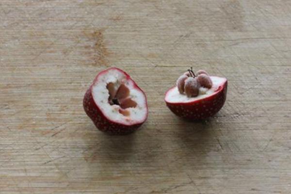 山楂籽的功效与作用