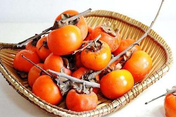 柿子醋的做法大全