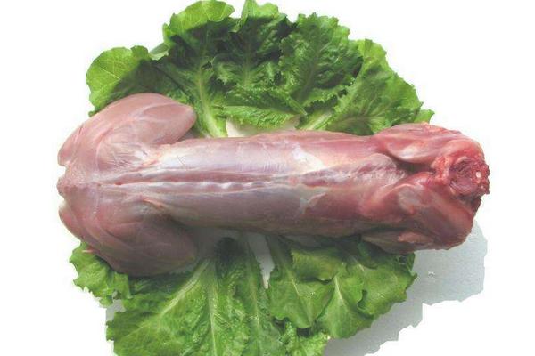 2018养野兔赚钱吗?野兔养殖的利润与投资成本及前景预测