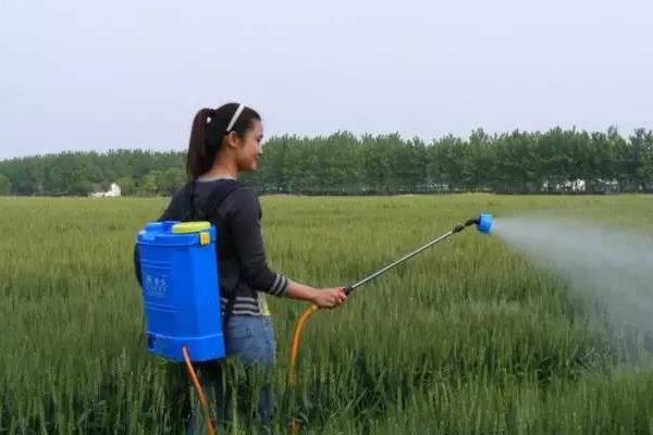 想创业不知道做什么好?来看看吧