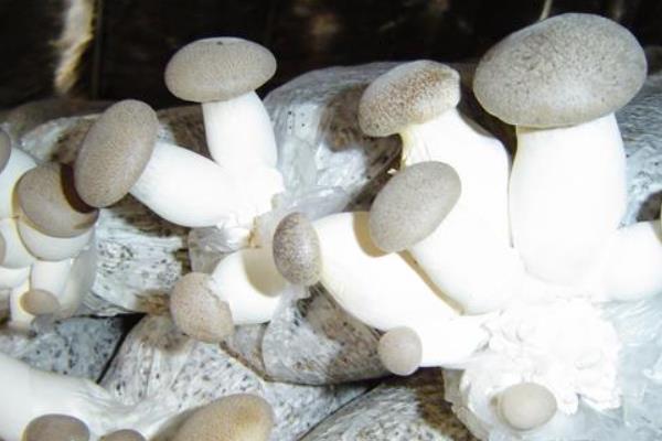 想创业不知道做什么好?来看看吧