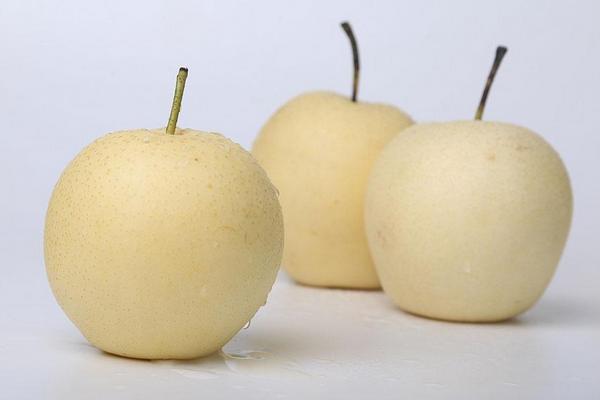 梨和柿子能一起吃吗