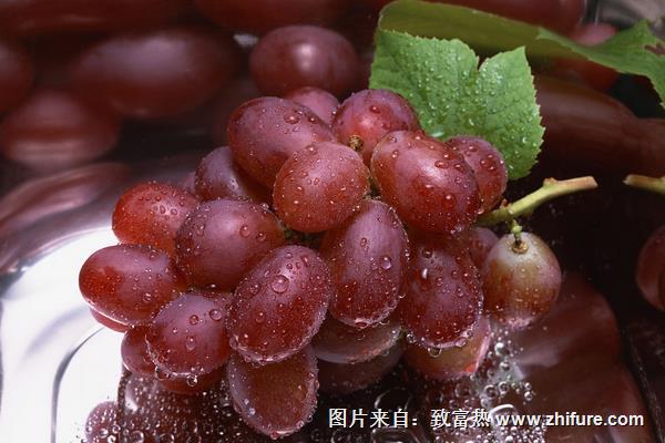 玫瑰香葡萄价格多少钱一斤