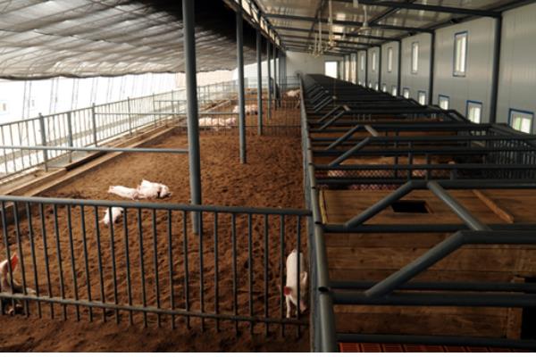 现代化养猪场怎么建设?有些什么设备?