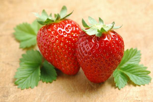 草莓是什么季节的水果