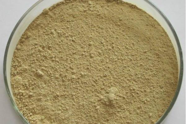 人参果总皂苷的功效与作用