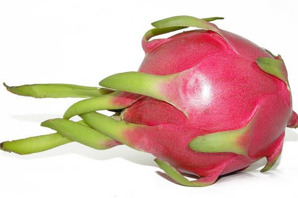 怎么挑选火龙果