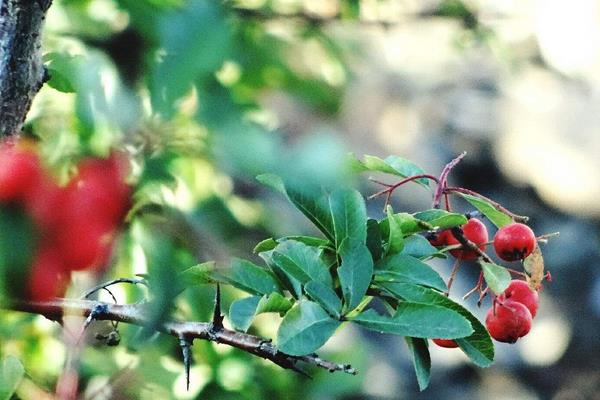 打破传统生意“套路” 学学这些创意吧!