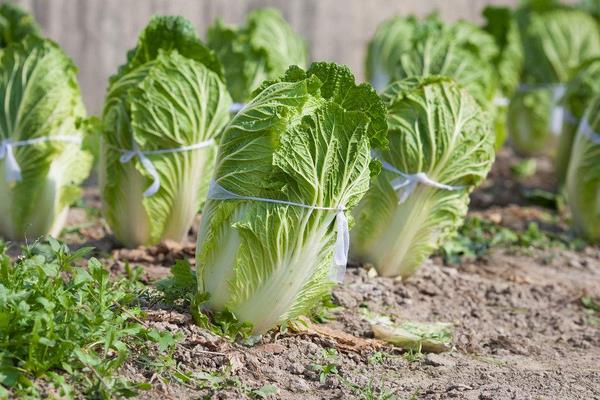 打破传统生意“套路” 学学这些创意吧!