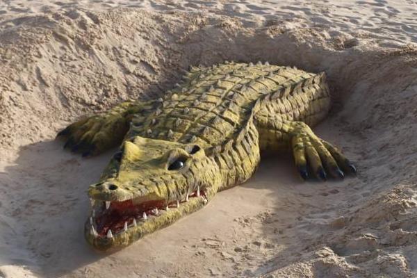 2018养鳄鱼赚钱吗?鳄鱼养殖的利润与投资成本及前景预测