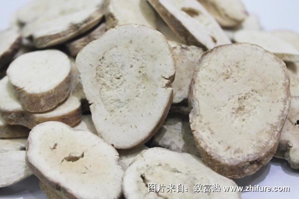 天花粉为什么叫天花粉