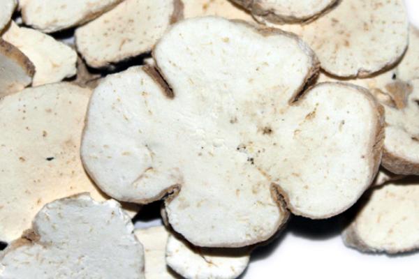 天花粉为什么叫天花粉