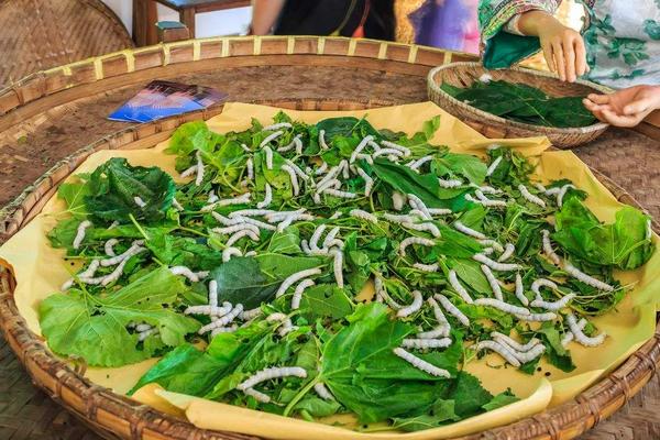 2018养蚕赚钱吗?养蚕的利润与投资成本及前景预测