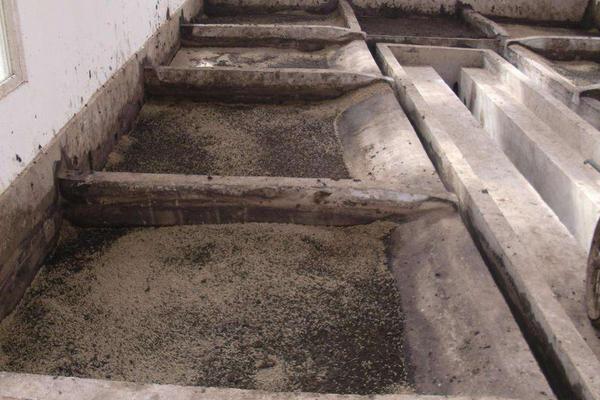 2018养蝇蛆赚钱吗?蝇蛆养殖的利润与投资成本及前景预测