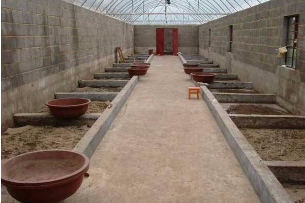 2018养蝇蛆赚钱吗?蝇蛆养殖的利润与投资成本及前景预测