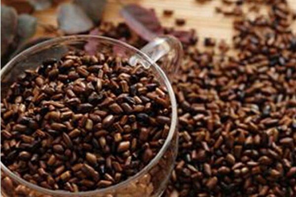 2015种决明子赚钱吗?2015决明子种植前景及市场价格分析