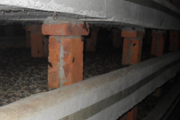 2018养土元赚钱吗?土元养殖的利润与投资成本及前景预测