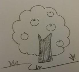 苹果树简笔画(图解步骤)