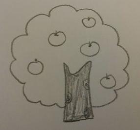 苹果树简笔画(图解步骤)